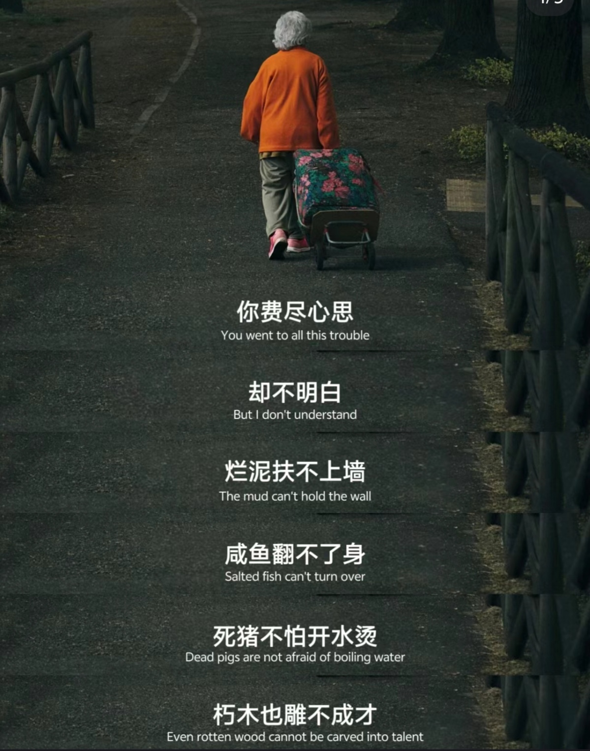 干到走不了路是什么程度知乎干到走不了路是一种非常严重的身体状况，通常指的是在劳动或运动过程中，由于过度劳累或损伤导致的无法行走。这种程度的身体状况可能因人而异，但通常涉及到肌肉、骨骼、关节等多个系统的损伤。