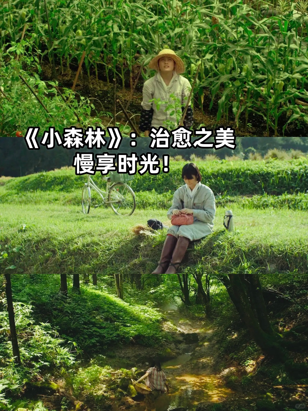 日本电影网站有哪些值得推荐日本www网站成电影院，探索电影文化的盛宴-第2张图片