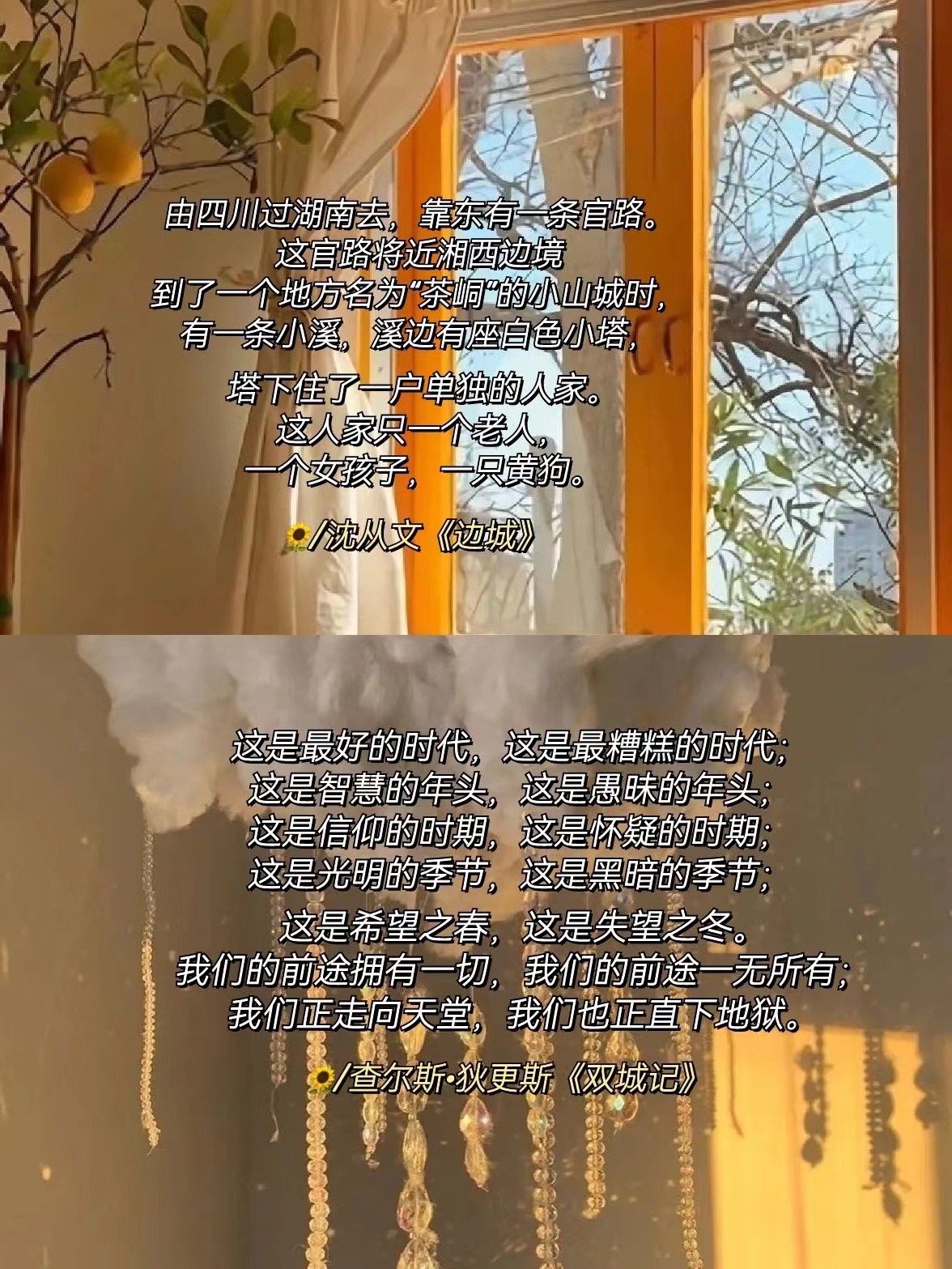 天堂资源中文最新版在线一区天堂资源中文最新版在线一区，探索无限资源与智慧