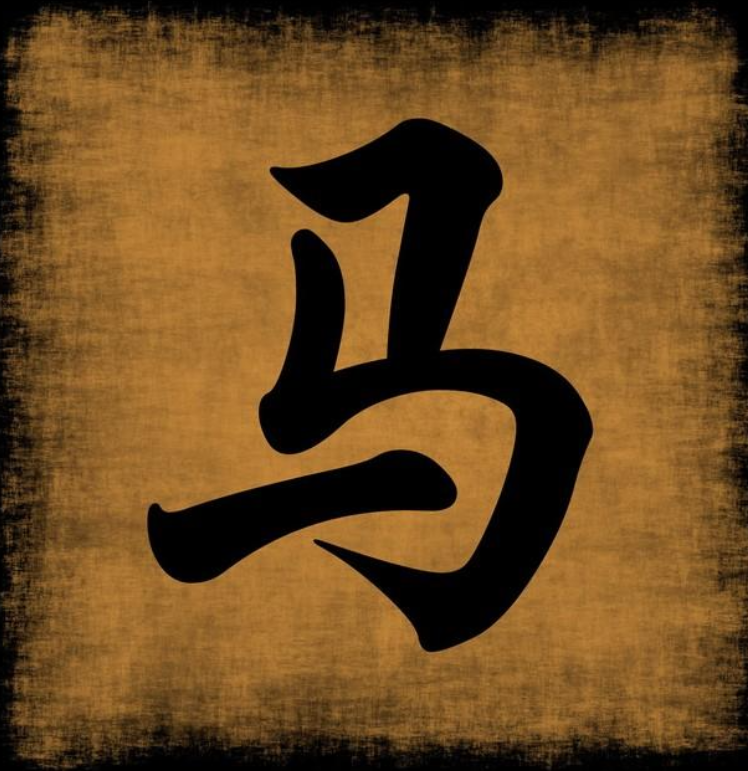 白猫图库候机会是什么生肖?白猫图库，探索数字时代的艺术宝库