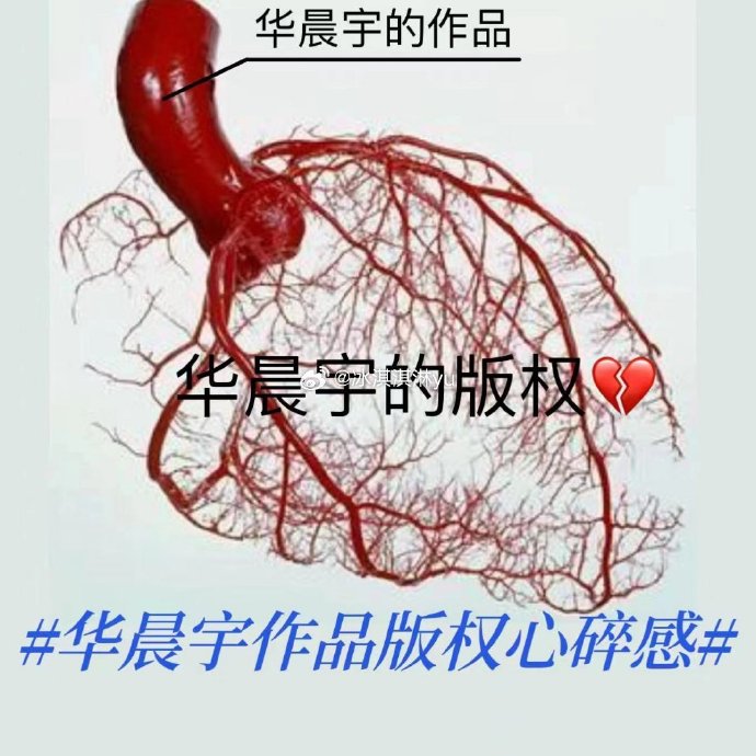 天娱传媒官网招聘艺人天娱传媒官网，探索传媒新纪元-第2张图片