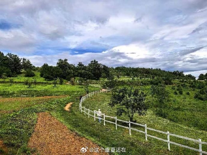青青草网站青青草网站，探索绿色生态的宝藏