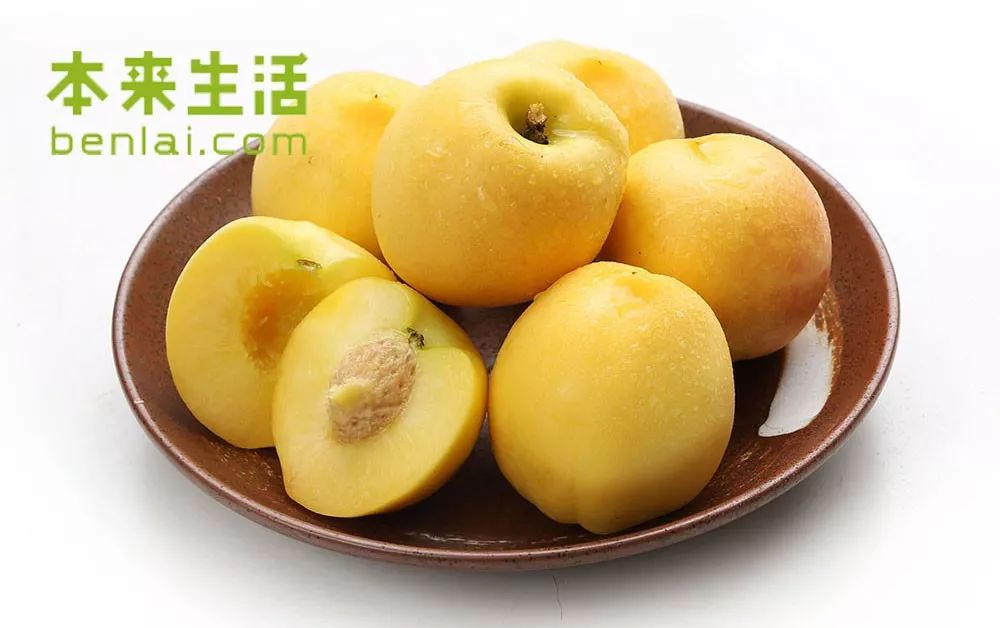 9612黄桃网站进入页面IOS免费949612黄桃网站进入IOS体验之旅