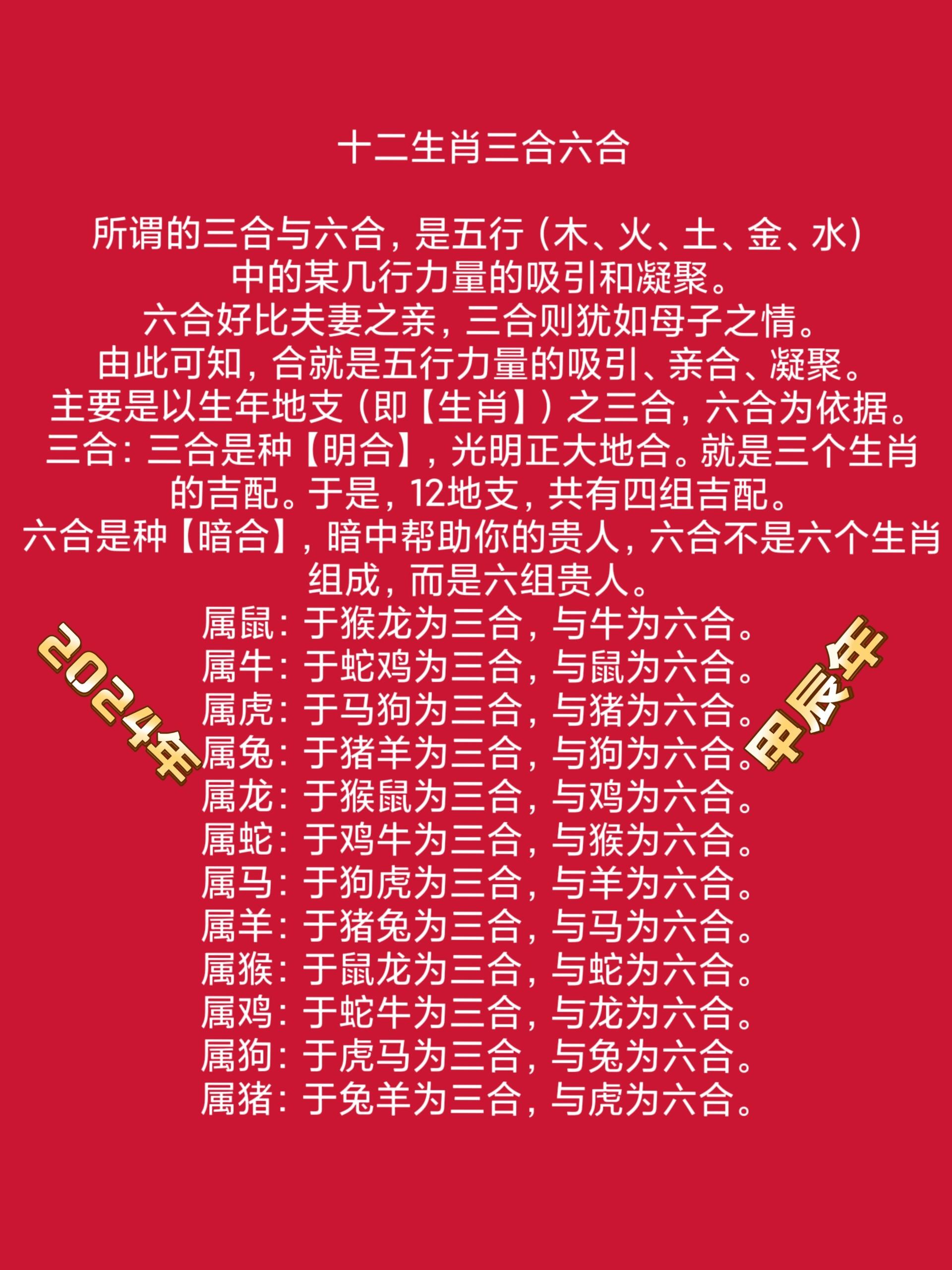 2024年管家婆一肖中特管家婆一肖2024年展望