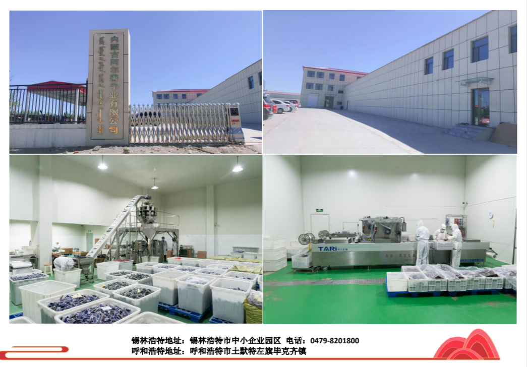 一起牛吧，探索牛业新天地-第2张图片