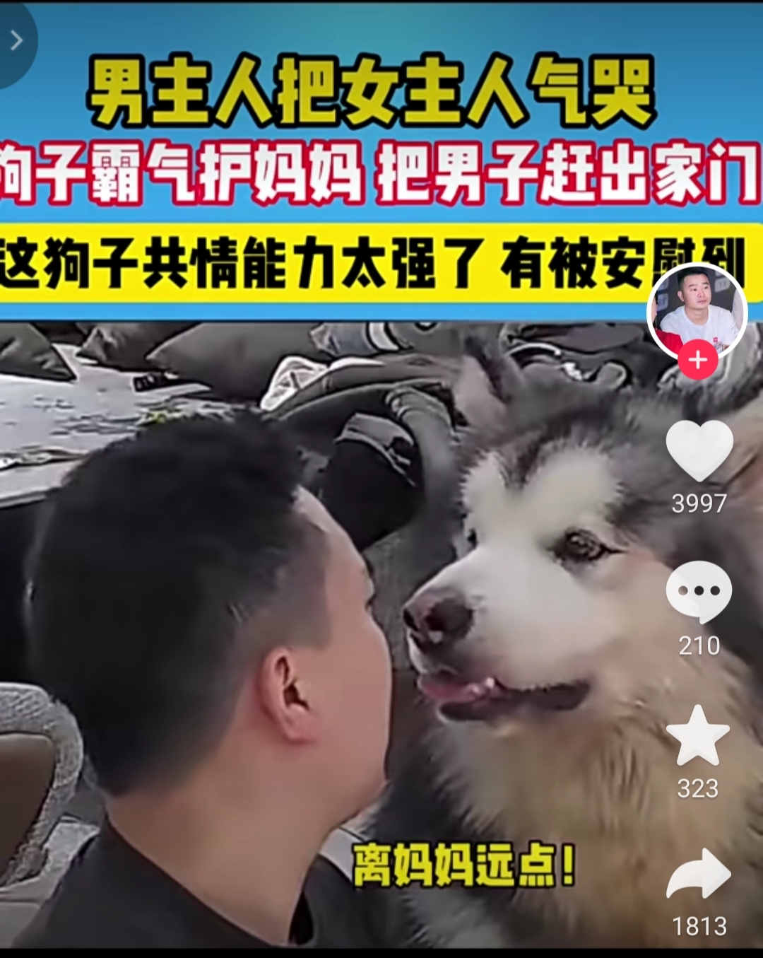 白天是狗晚上是丈夫故事视频白天是狗晚上是丈夫的故事