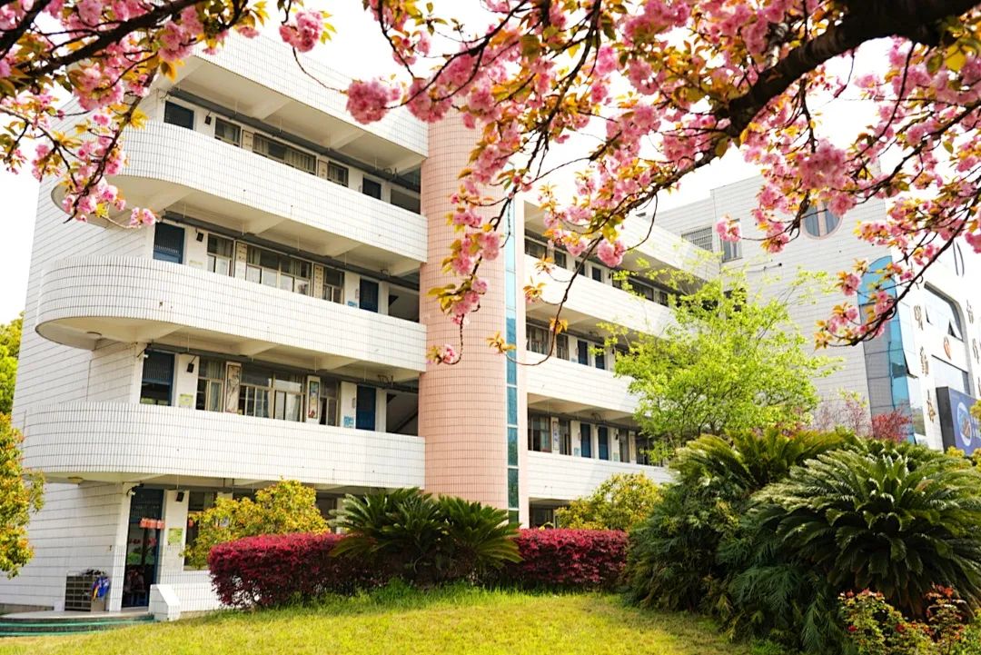 约附近学生200一次网站约附近学生200一次，一次难忘的校园邂逅-第1张图片