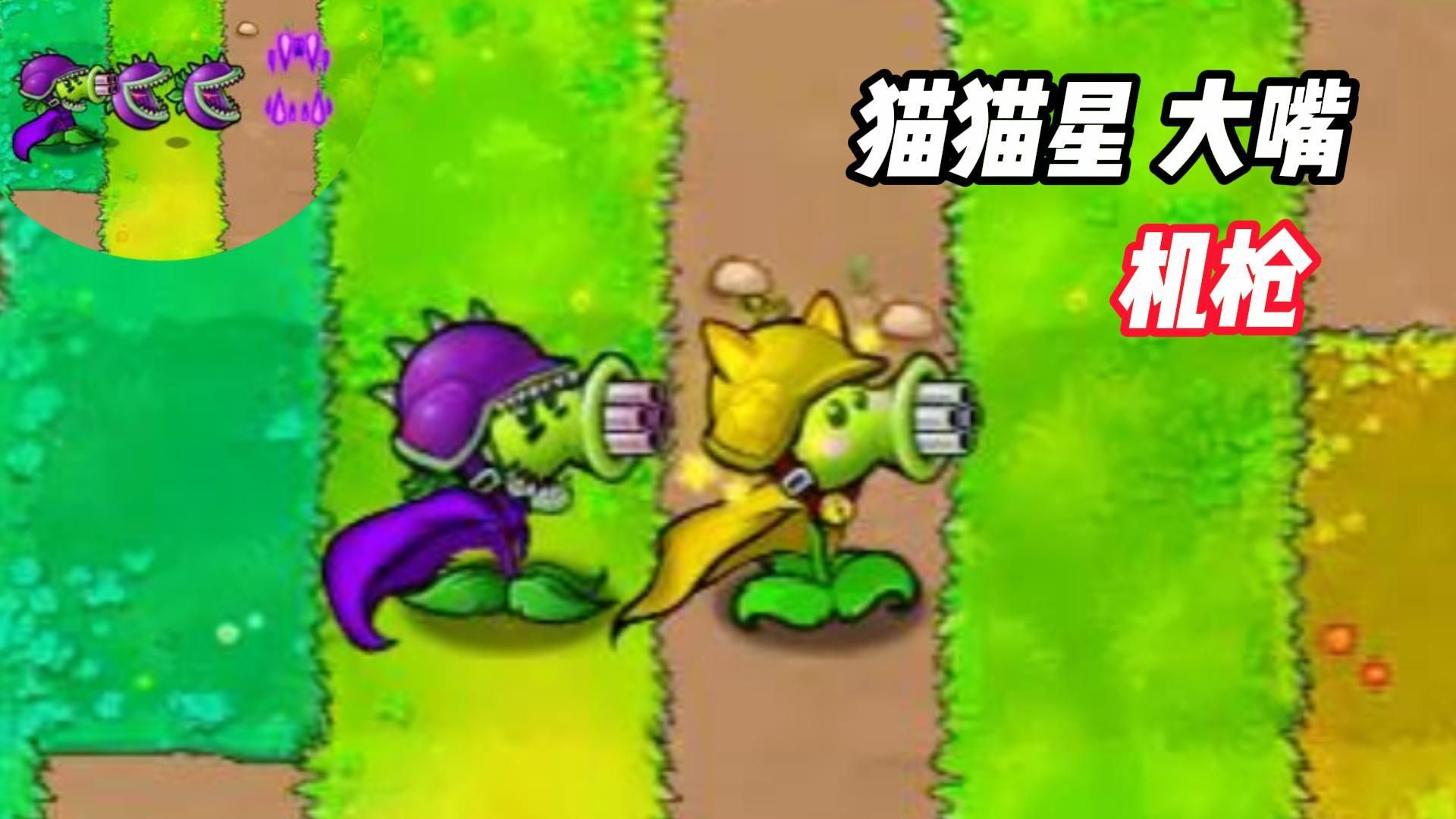 猫射手攻略