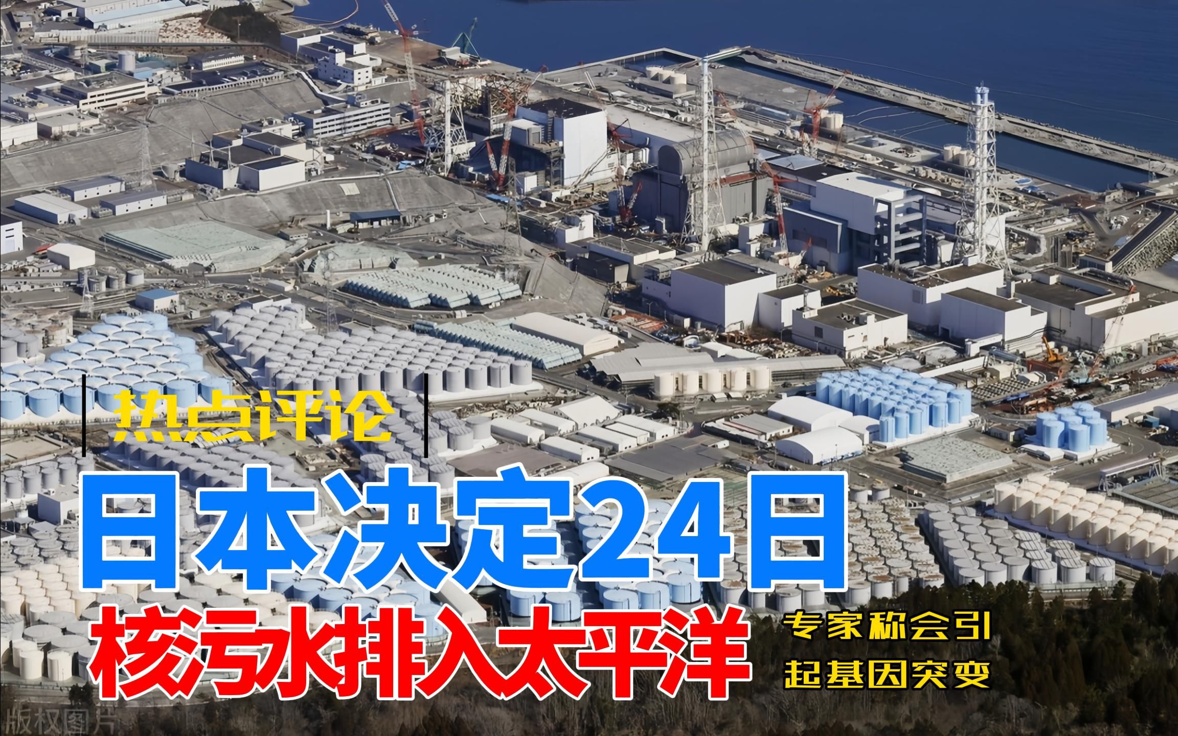 japonensis15-16演员表JAPONENSIS15-16，日本基因研究的新篇章