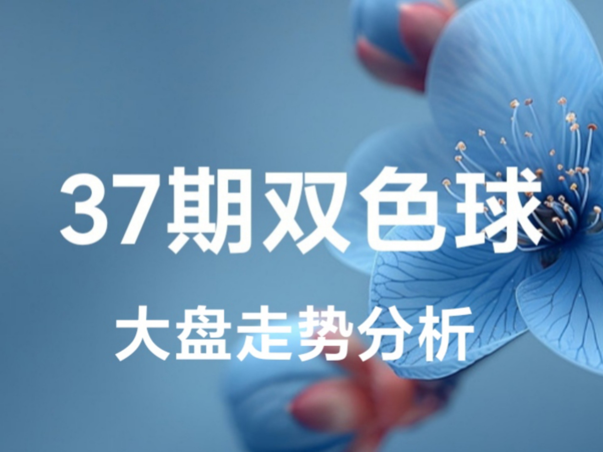 双色球分析推荐双色球分析-第2张图片