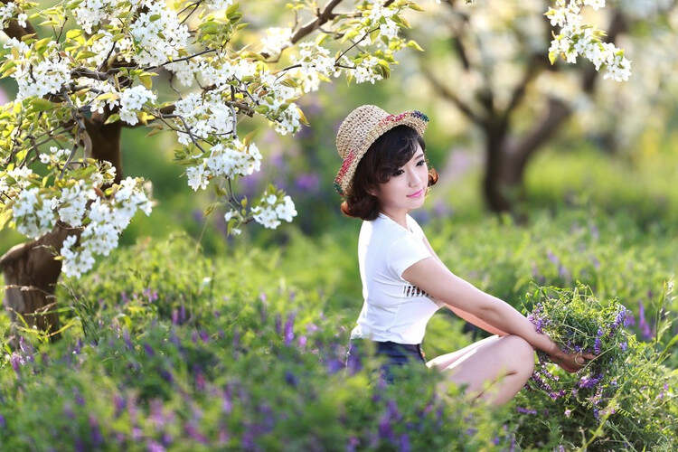 花仙子游戏书安静书教程花仙子游戏，梦幻之旅