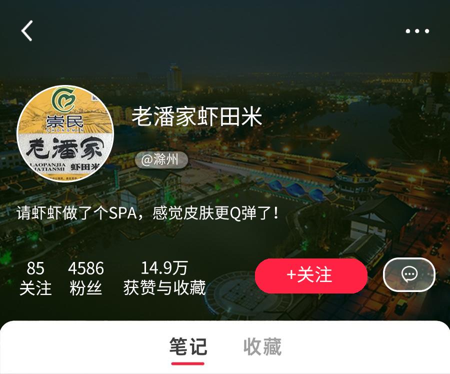 池州城市在线农特产池州城市在线，城市发展的新篇章-第2张图片