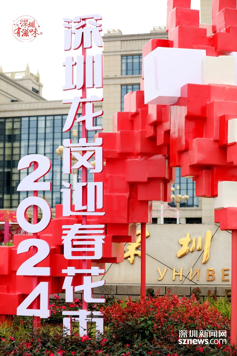 2024香港历史开奖记录57期，回顾与展望