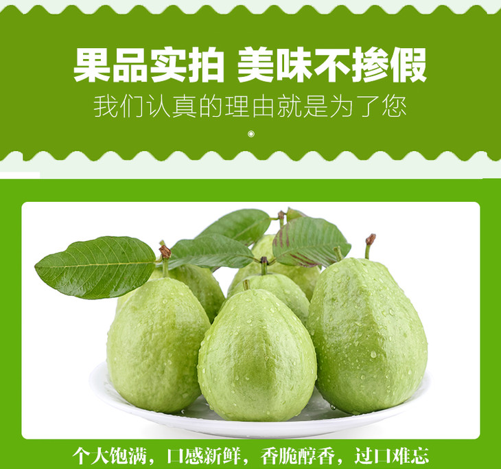 关于性宝福芭乐、向日葵鸭脖小猪下载的全面介绍-第2张图片