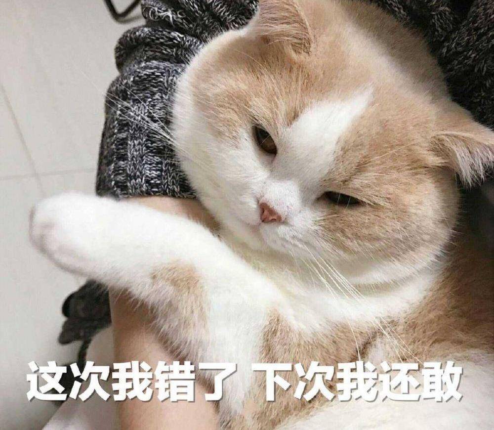 主人我错了能不能关掉开关主人我错了能否关掉开关-第2张图片