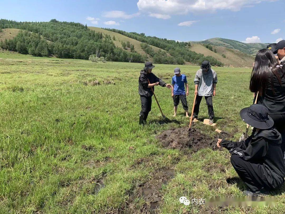大地资源高清在线观看完整版大地资源二在线观看官网介绍-第3张图片