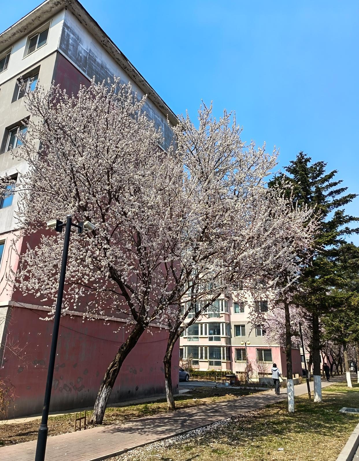 南通大学长椅，静谧之上的温馨时光-第2张图片