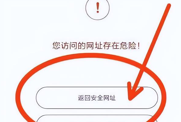 成人影片下载网站，风险与选择-第2张图片