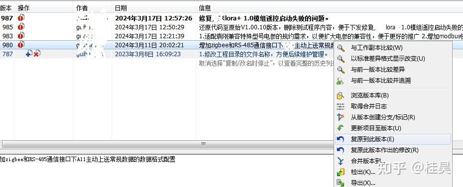 国外免费SVN使用指南