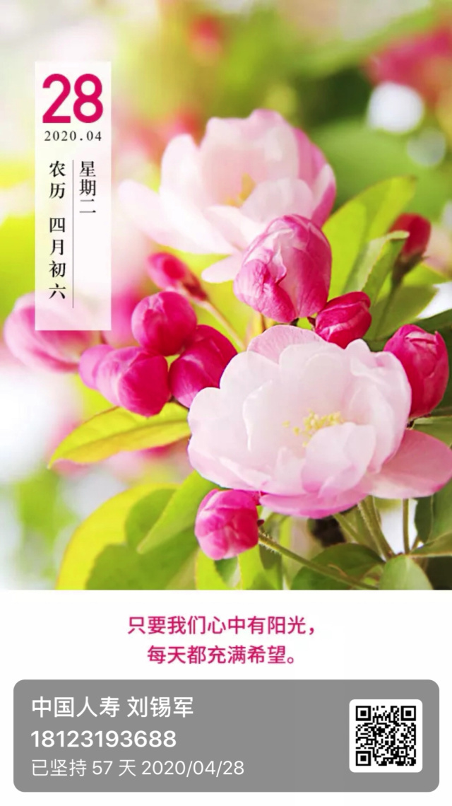 早安我的少年减肥模式早安我的少年，开启减肥模式的生活新篇章-第2张图片