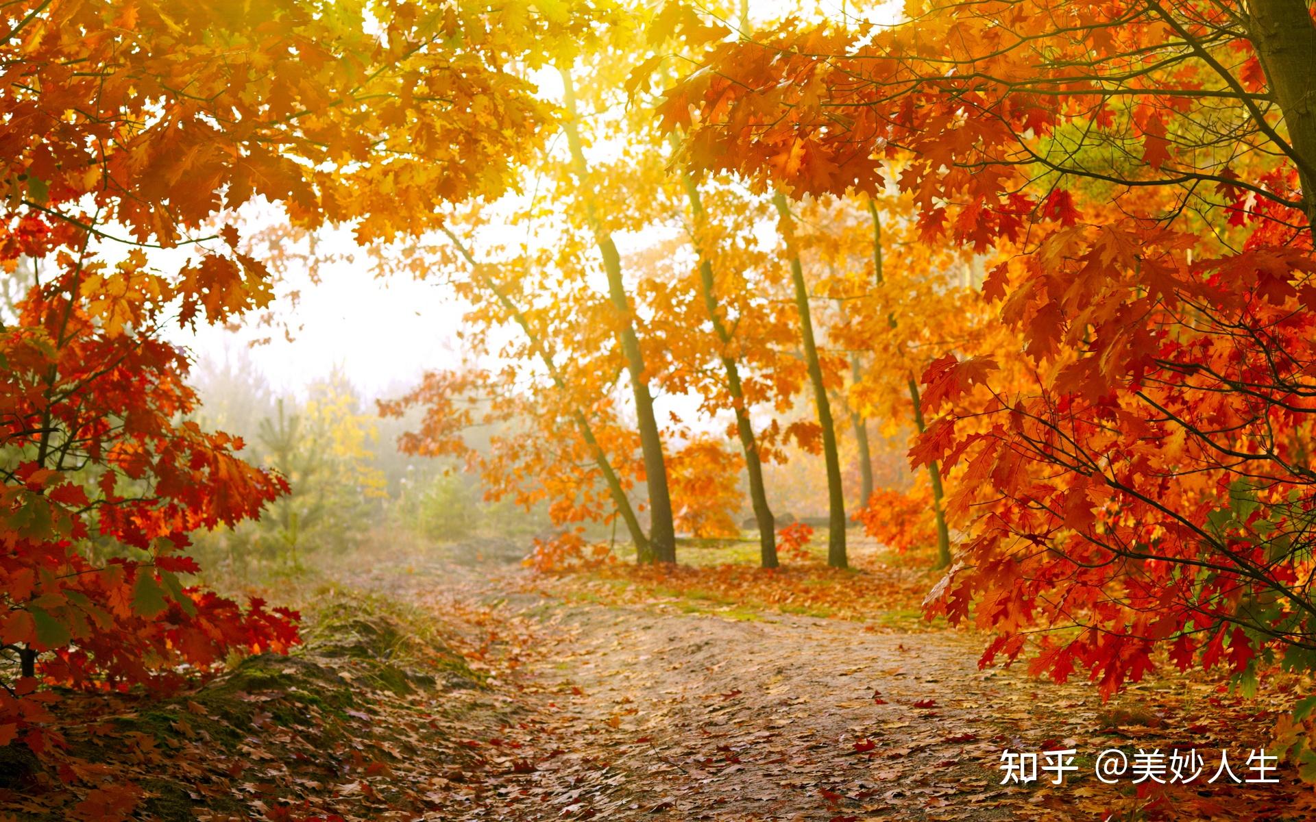 美妙人生下载，探索人生无限可能-第2张图片