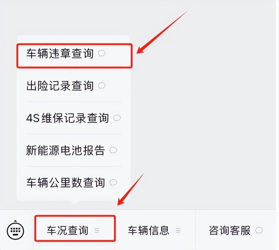 123123违章车辆查询系统介绍