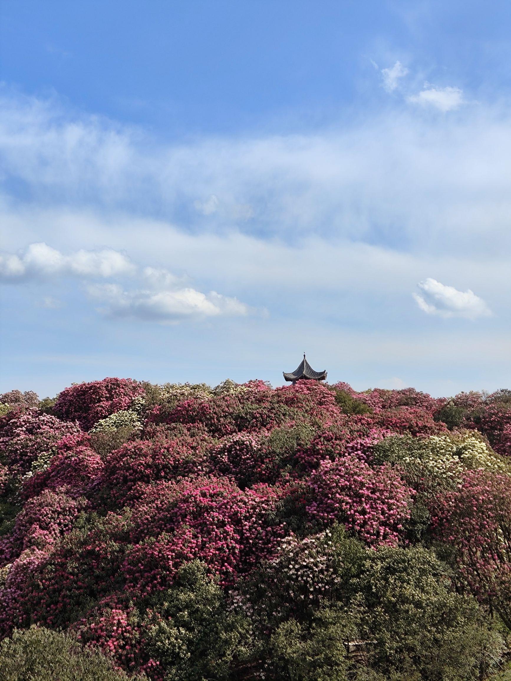 毕节旅游攻略-第2张图片
