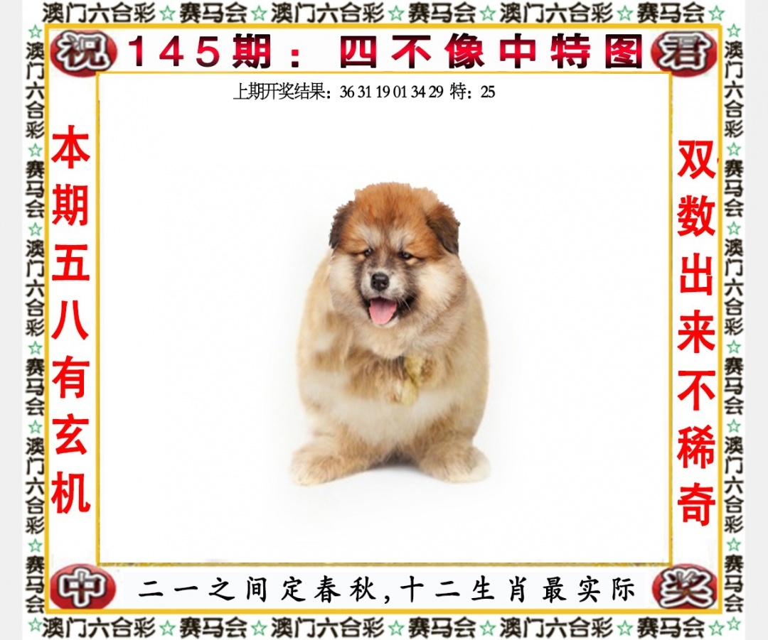 管家婆2023免费资料使用方法管家婆2023免费资料使用方法