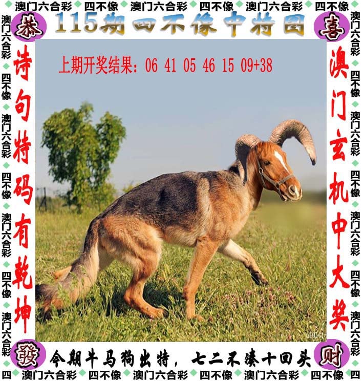 2024澳门天天开好彩大全杀码揭秘-第2张图片