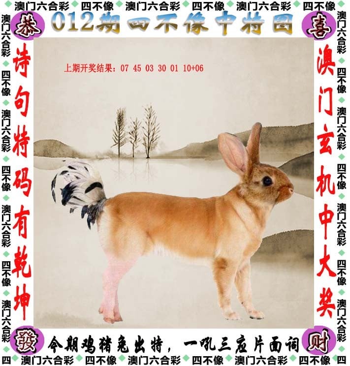 2024澳门天天开好彩大全免费，畅享彩票新篇章