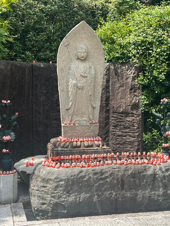 日本一卡免费播放，探索四卡与三卡的新体验