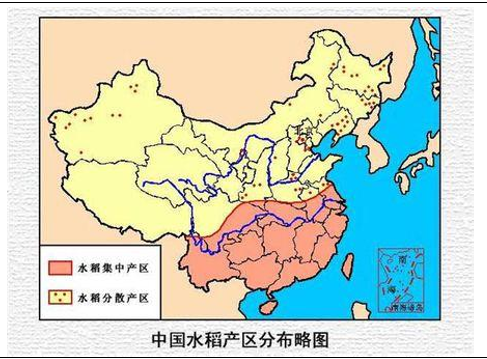 亚洲一线产区二线产区精华亚洲一线产区与二线产区精华-第2张图片