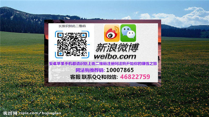 恋老网恋老网络世界，探索与感悟