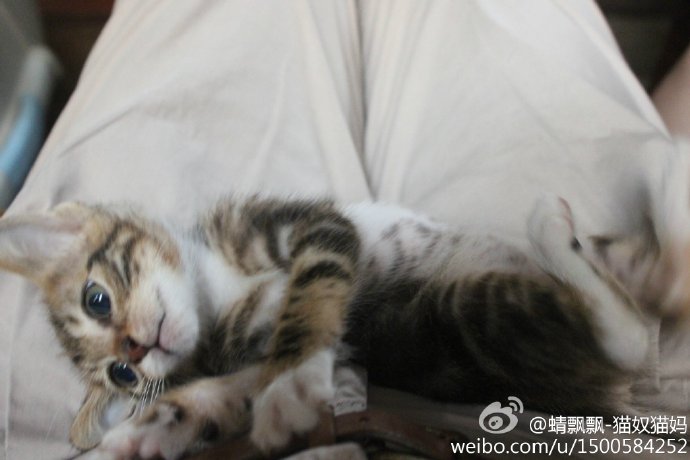 车上他吃我奶好爽