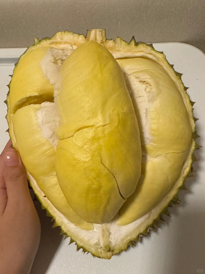 夜里十大禁用链接入口榴莲夜里十大禁用链接入口榴莲-第2张图片