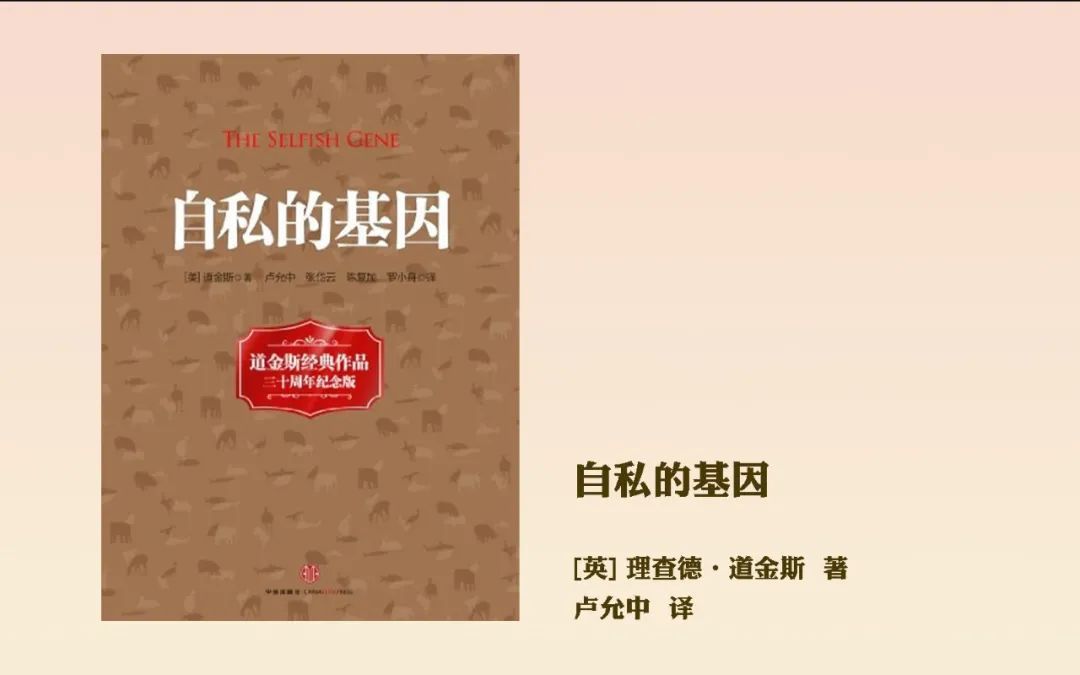 高度戒备，应对未知挑战的智慧