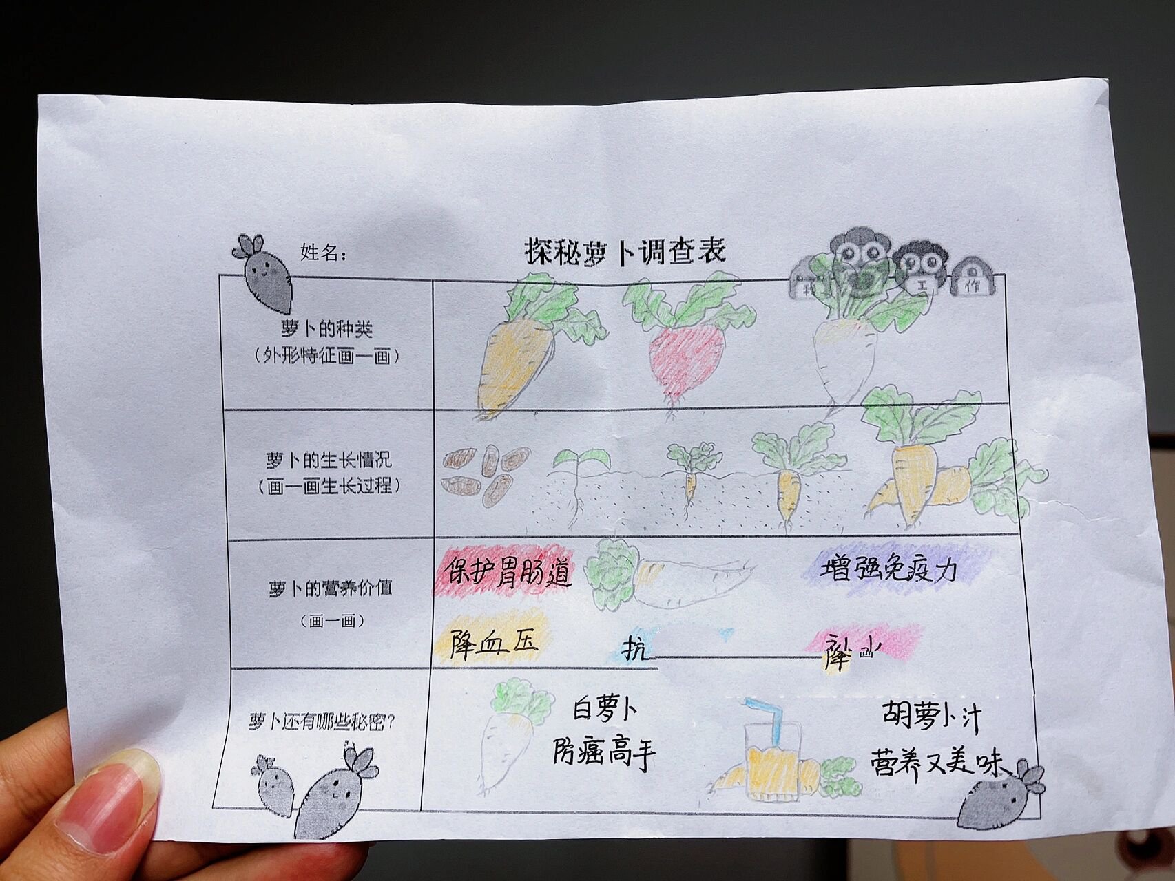 关于小孩半夜喂姐姐吃萝卜的考虑