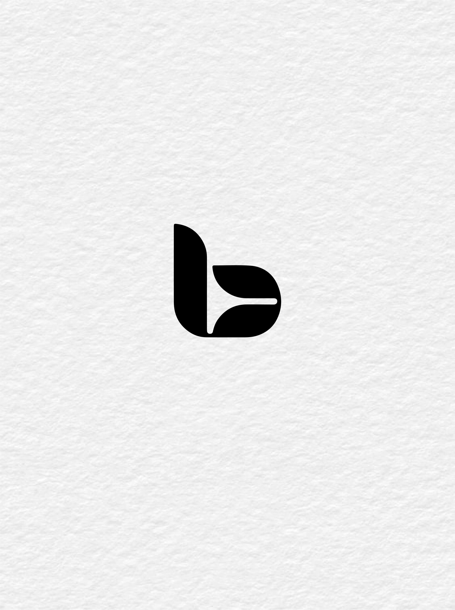 探索b的外部形象图形-第1张图片