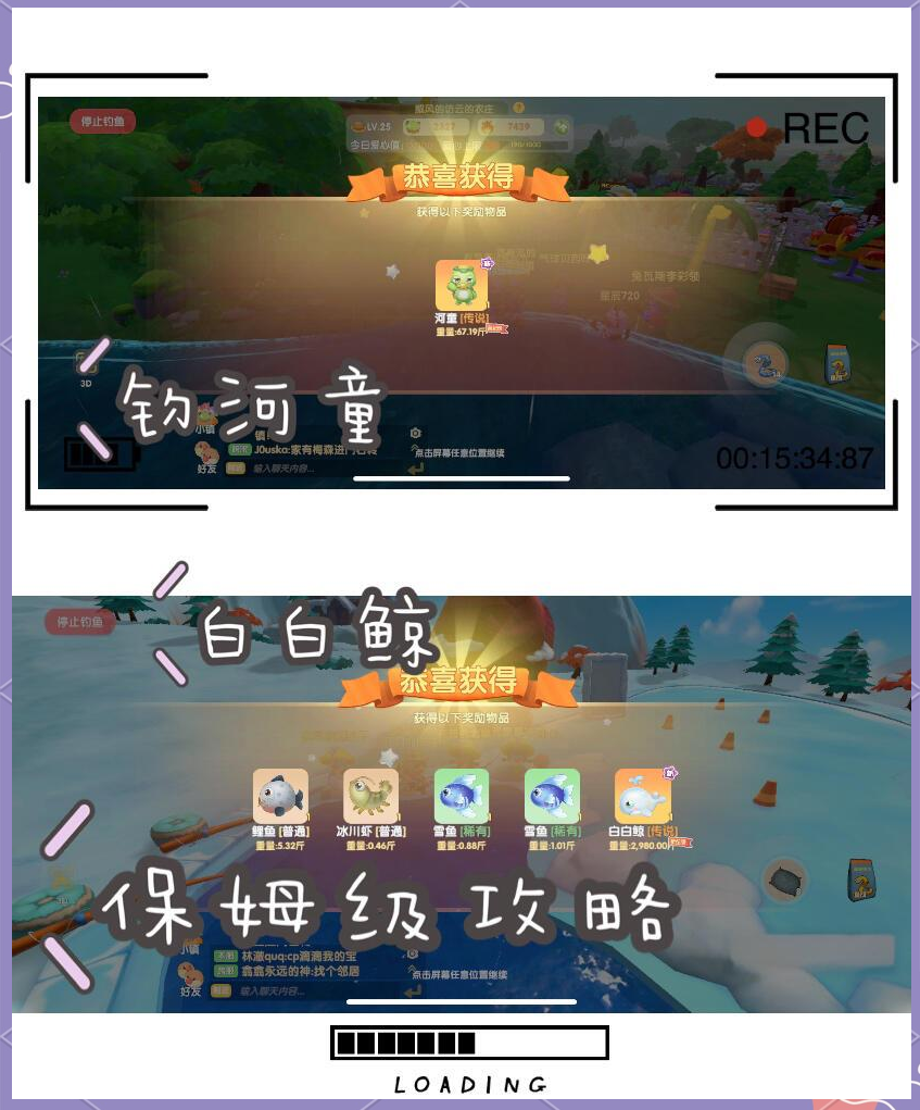 摩尔庄园白鲸，神秘海洋生物的奇幻之旅