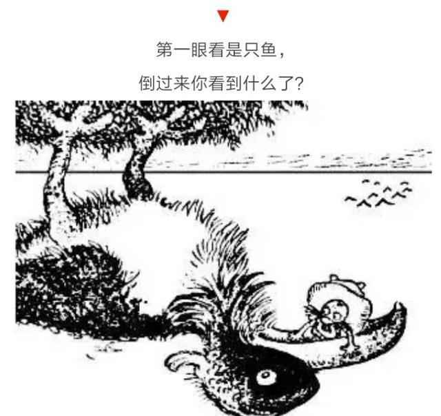 倒过来看很黄的图片倒过来看很黄的图片-第2张图片