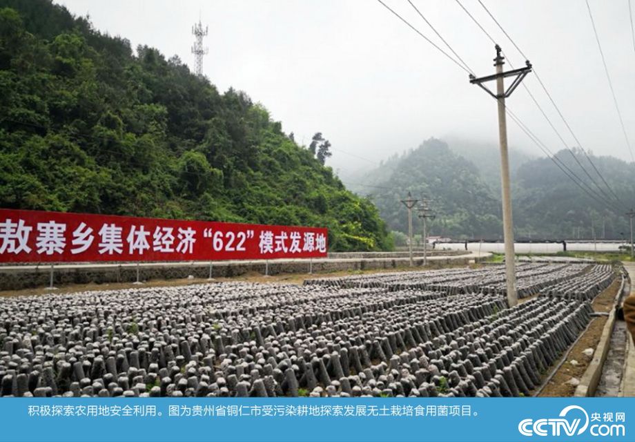18和谐坛论探索和谐最新地址