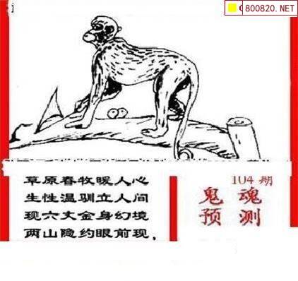 三毛图库3D，探索数字艺术的新世界-第2张图片