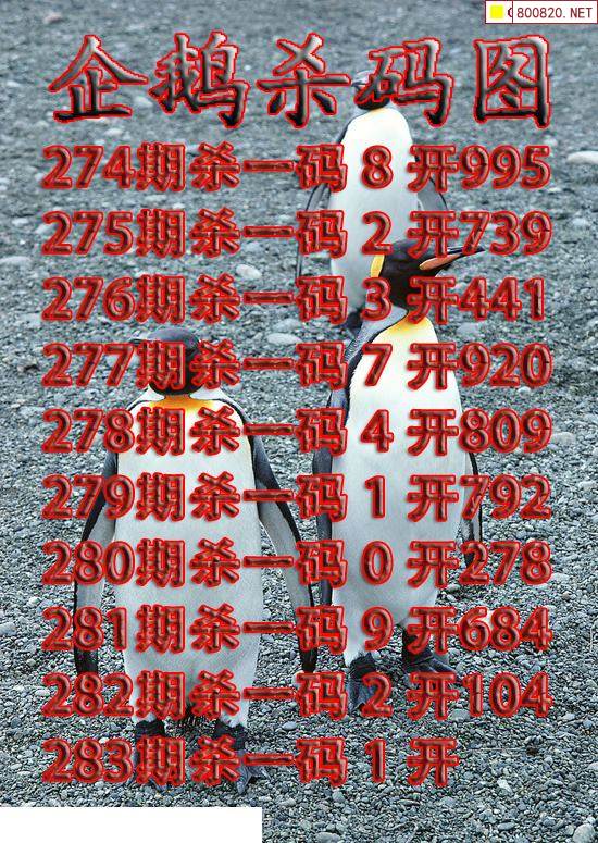 澳门彩网金牛版2023年澳门彩网金牛版2023年，彩市新篇章