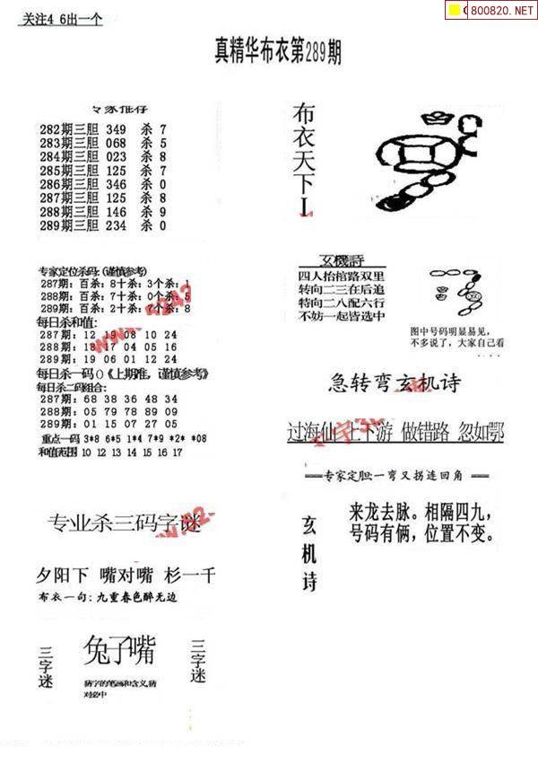 彩摘网布衣天下彩摘网，布衣天下新篇章-第1张图片
