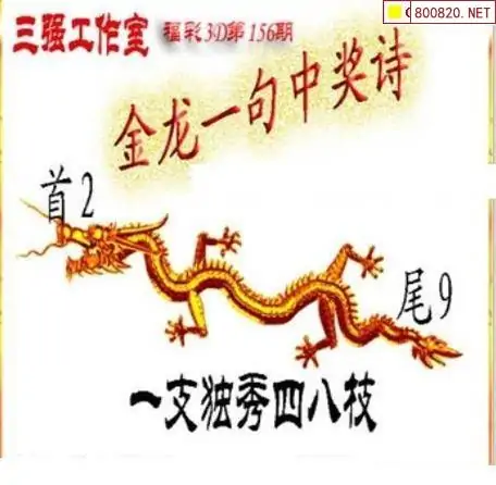 中国彩摘网3d图谜中国彩摘网，引领彩民新风尚-第3张图片