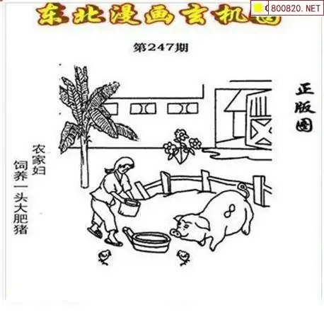 3d字谜图谜 画谜3D字谜图谜画谜-第3张图片
