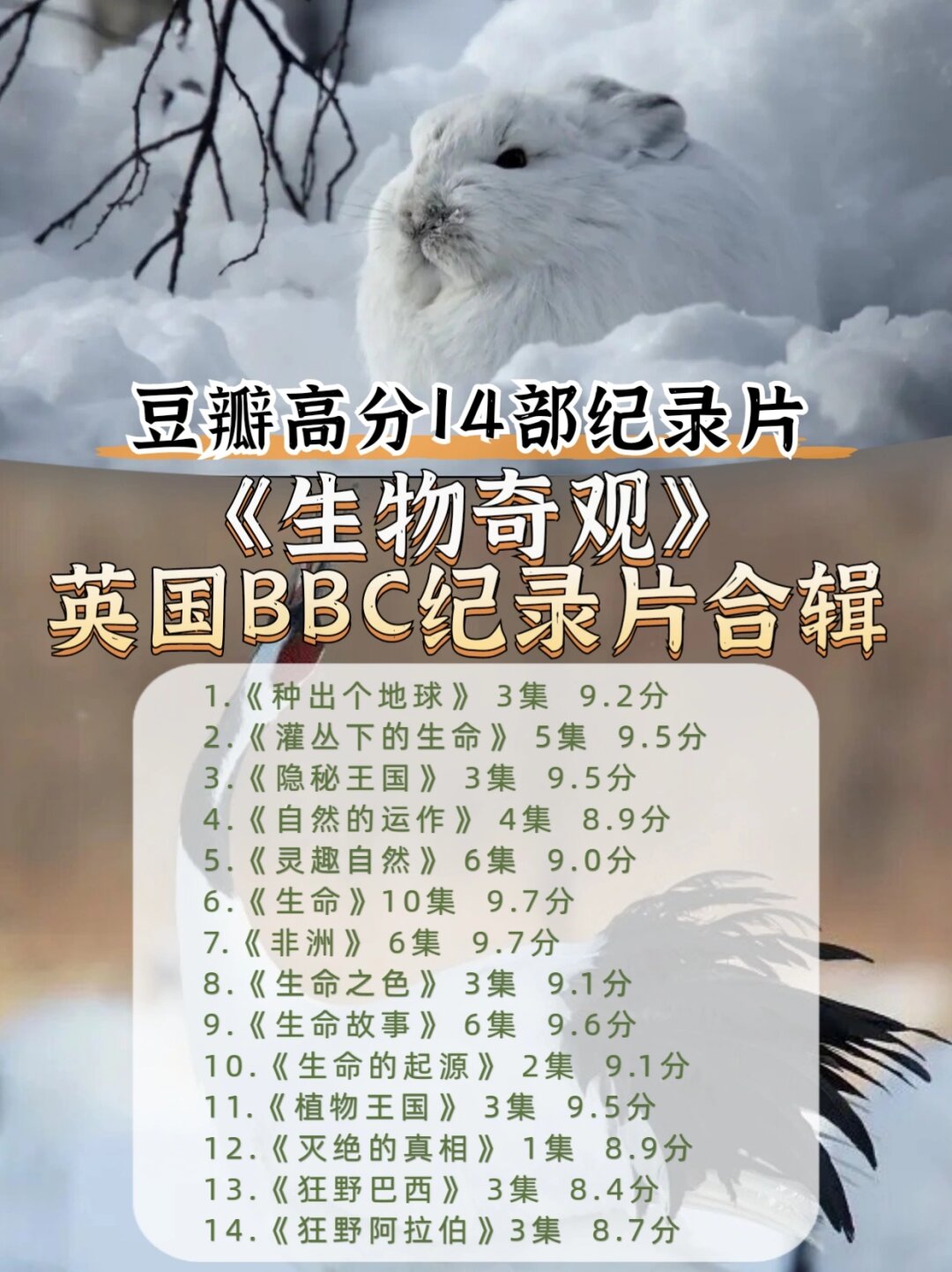 森林游戏作弊码大全森林游戏，探索自然的奇妙世界-第1张图片
