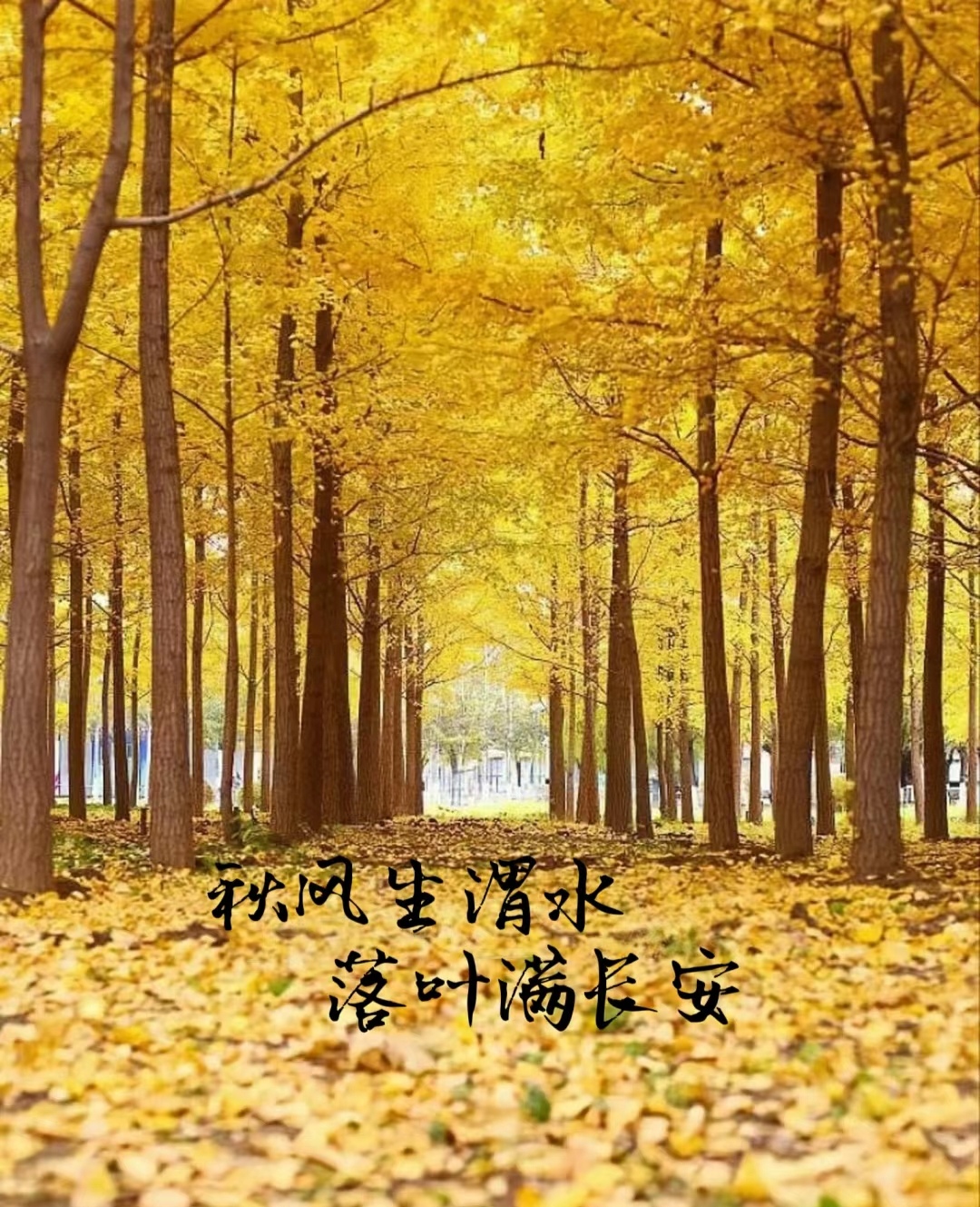 此诗送此城怎么触发此诗送此城