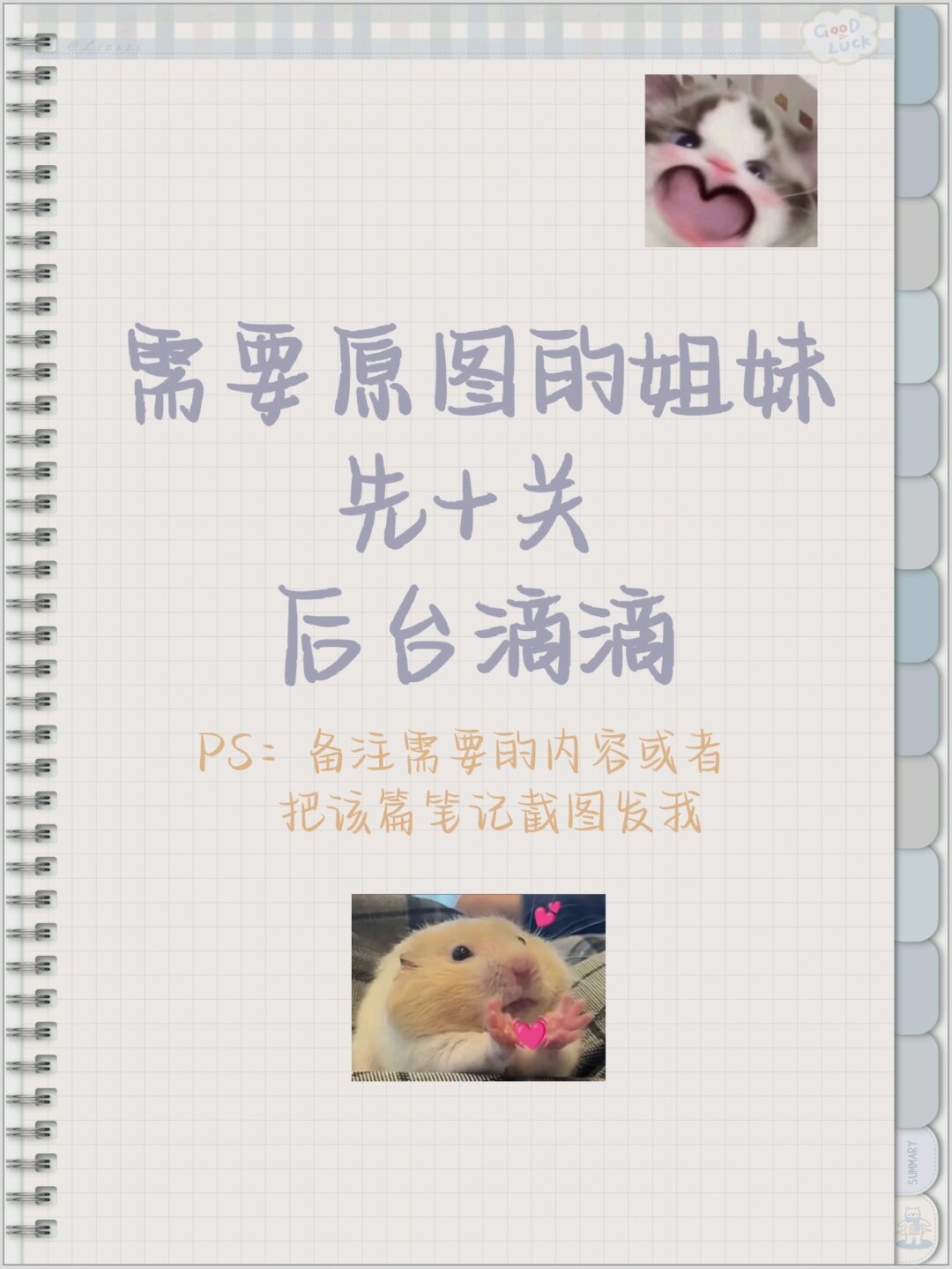 疯狂石器，探寻大自然的神秘力量-第2张图片