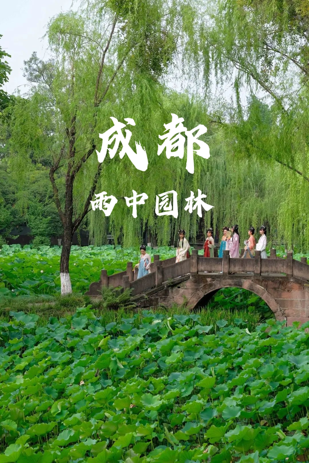 成都4片P视频高清，探索城市影像的新篇章-第2张图片